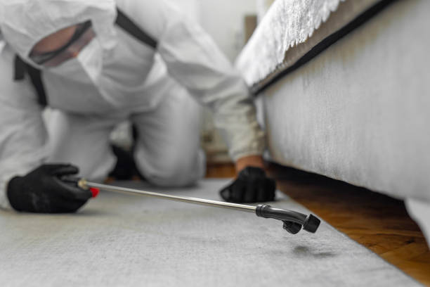 Professional Pest Control technician working in Chautauqua County County, KS